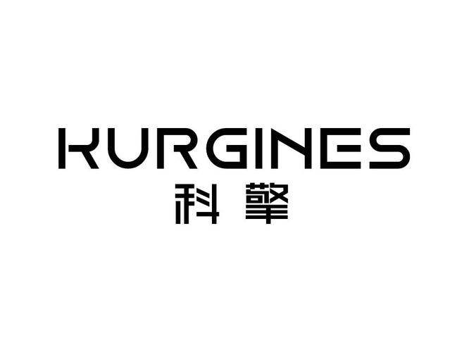 科擎信息商标注册信息全解析 爱企查数据深度解读